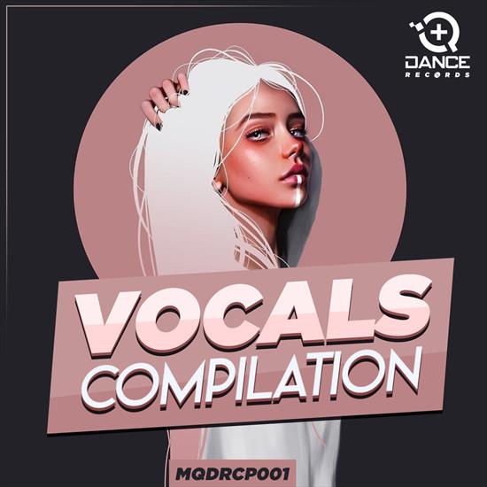 2023 - VA - Vocals Compilation CBR 320 - VA - Vocals Compilation - Front.png