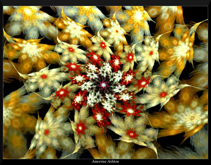 Fraktale - Kwiaty - Fraktale.jpg