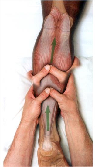 Anatomia masażu - 10-34.JPG