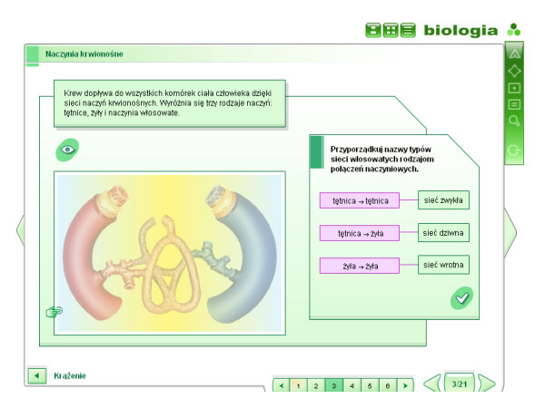 Biologia - Naczynia krwionosne.jpg