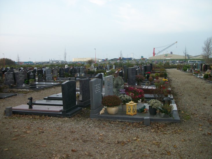 1.11.2011 cmentarz w Harlingenie - 100_2274.JPG