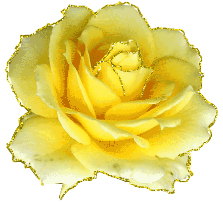 Róże żółte - ChomikImage.gif