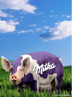 Galeria - Milka.jpg